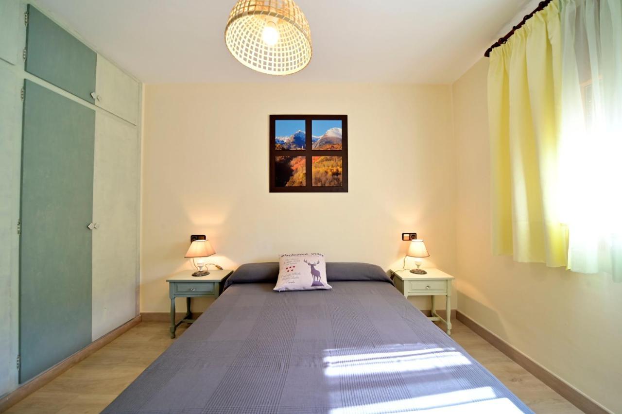 Casa Guineu Διαμέρισμα Esterri D'Aneu Εξωτερικό φωτογραφία